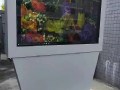 Ѹ_(d)ܑ⿴壬_r(nng)Ϣ